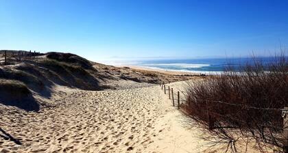 Guesthouse in wooded grounds
