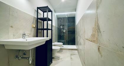 Nautilus B & B