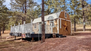 A rustic cabin with a metal roof, a wooden deck, and a star decoration on the side.