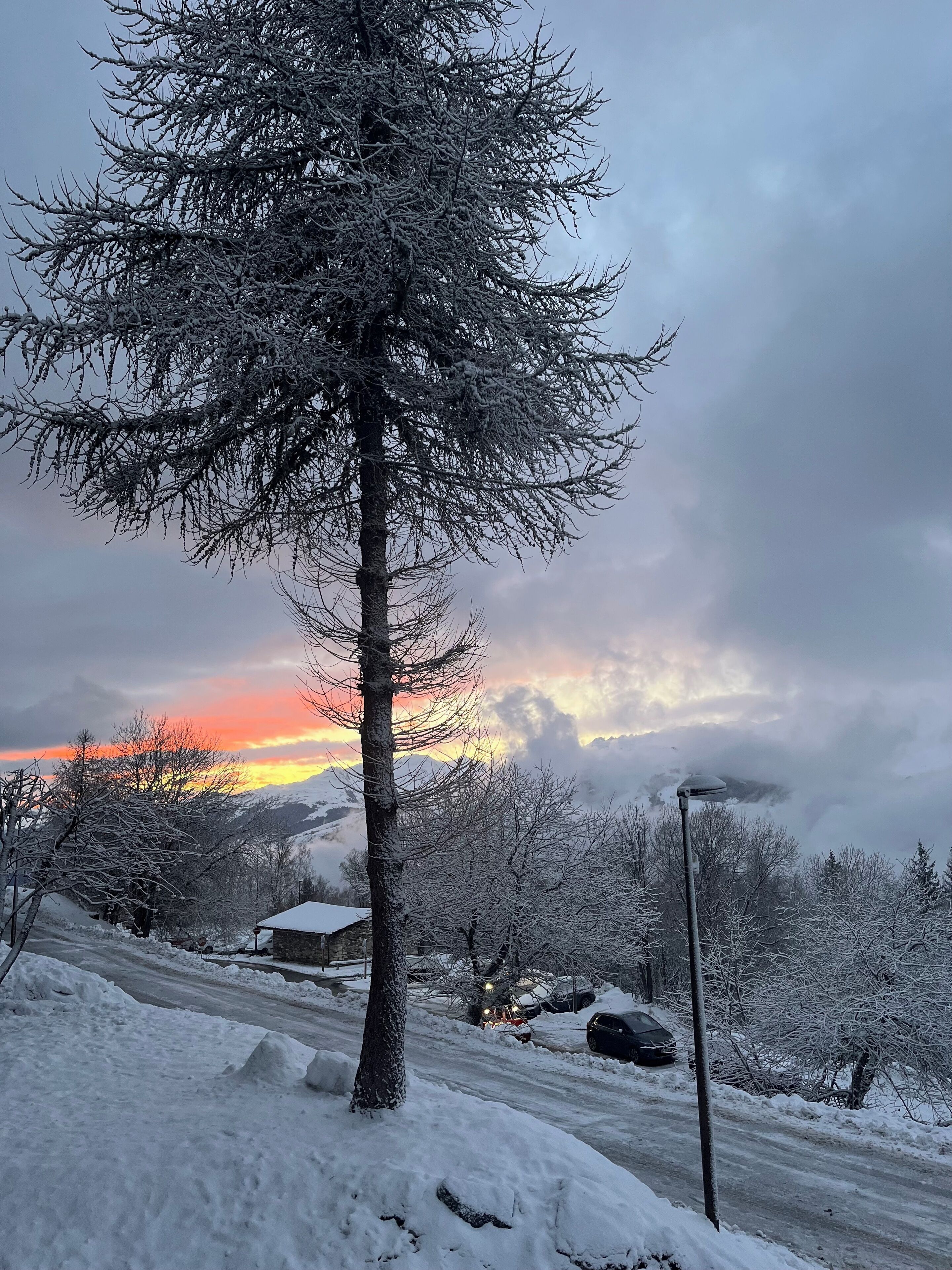 Un paysage enneigé avec un seul arbre au premier plan, une route bordée de voitures garées et un coucher de soleil en arrière-plan.