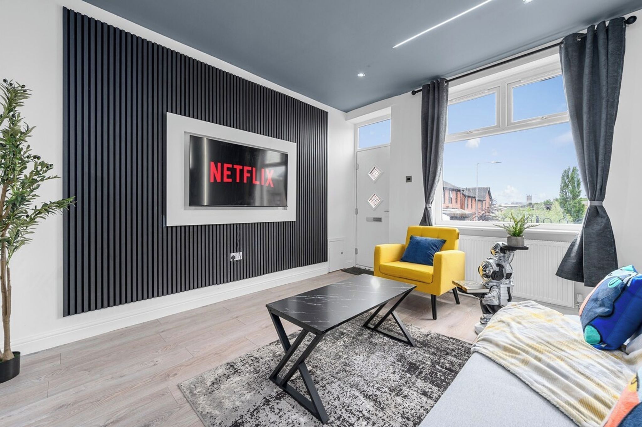 TV