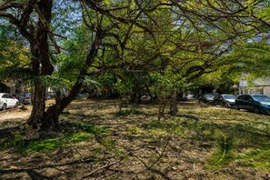 A parking area with trees and parked cars. - Breezy Studio in Cancún with Balcony & Park View (Cancún)