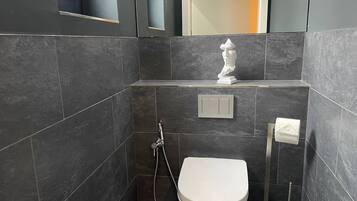 Hair dryer, towels, soap, toilet paper