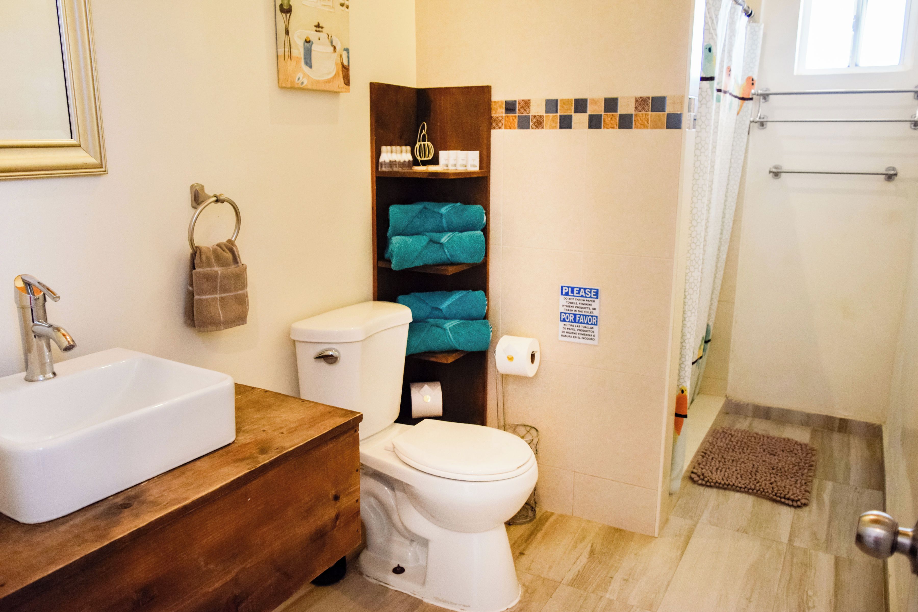 A bathroom with a white sink, a toilet, and a shower area.