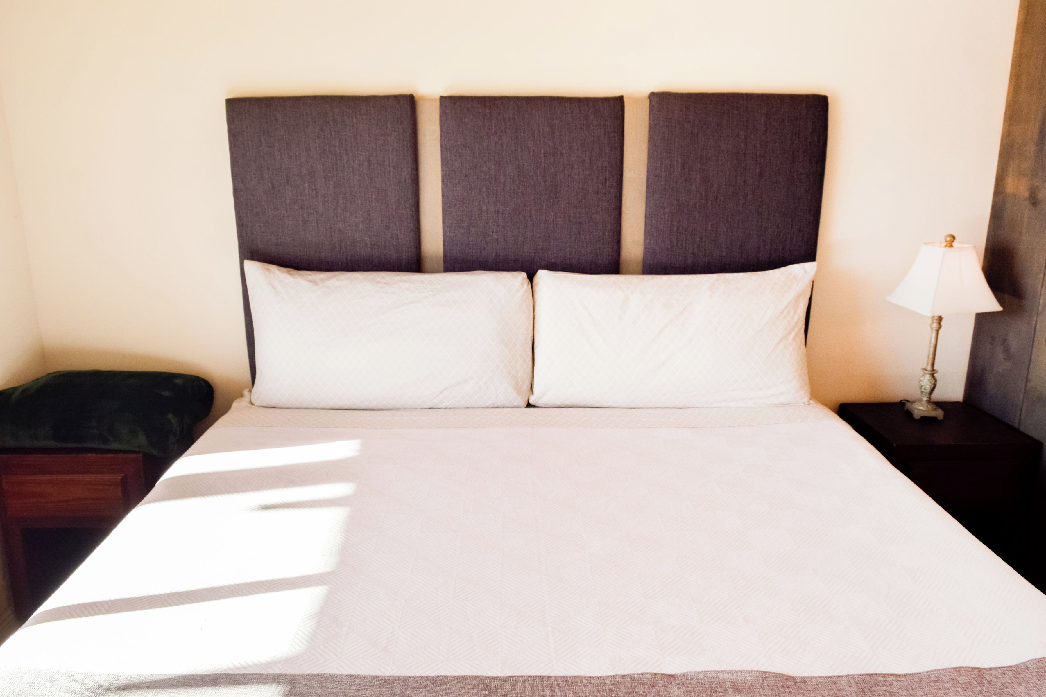 A bed with a headboard, two pillows, a bedside table, and a lamp.