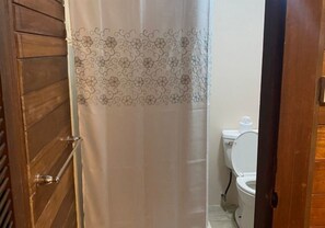 A bathroom with a toilet, a shower curtain with a floral pattern, and a wooden door.