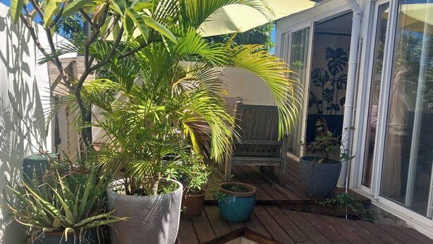 Une terrasse agrémentée de plantes en pot, d’un banc en bois et d’un grand parasol.