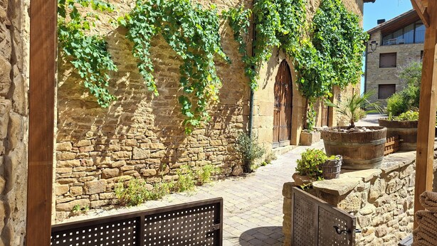 A stone building with ivy-covered walls and a wooden gate. - Arco-Navarra Rural House (Artariáin)