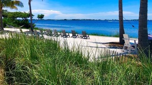 Une vue sur la plage, avec des palmiers, une zone sablonne agrémentée de chaises longues et une mer d’un bleu limpide.