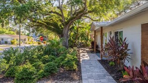 Propiedad residencial con un sendero pavimentado, abundante vegetación y un árbol grande.