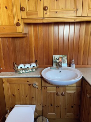 シャワー、ヘアドライヤー、タオル、トイレットペーパー