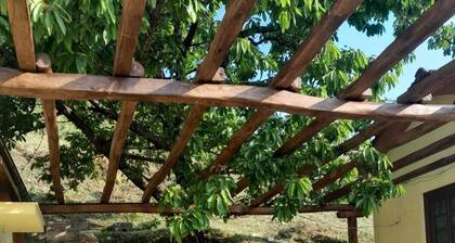 Cosy house with large terrace