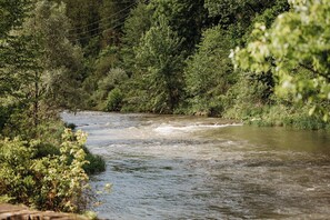 Un río serpenteando por una zona boscosa.