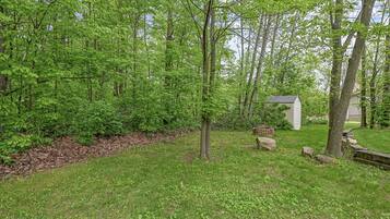 A wooded area with a small shed and a bench.