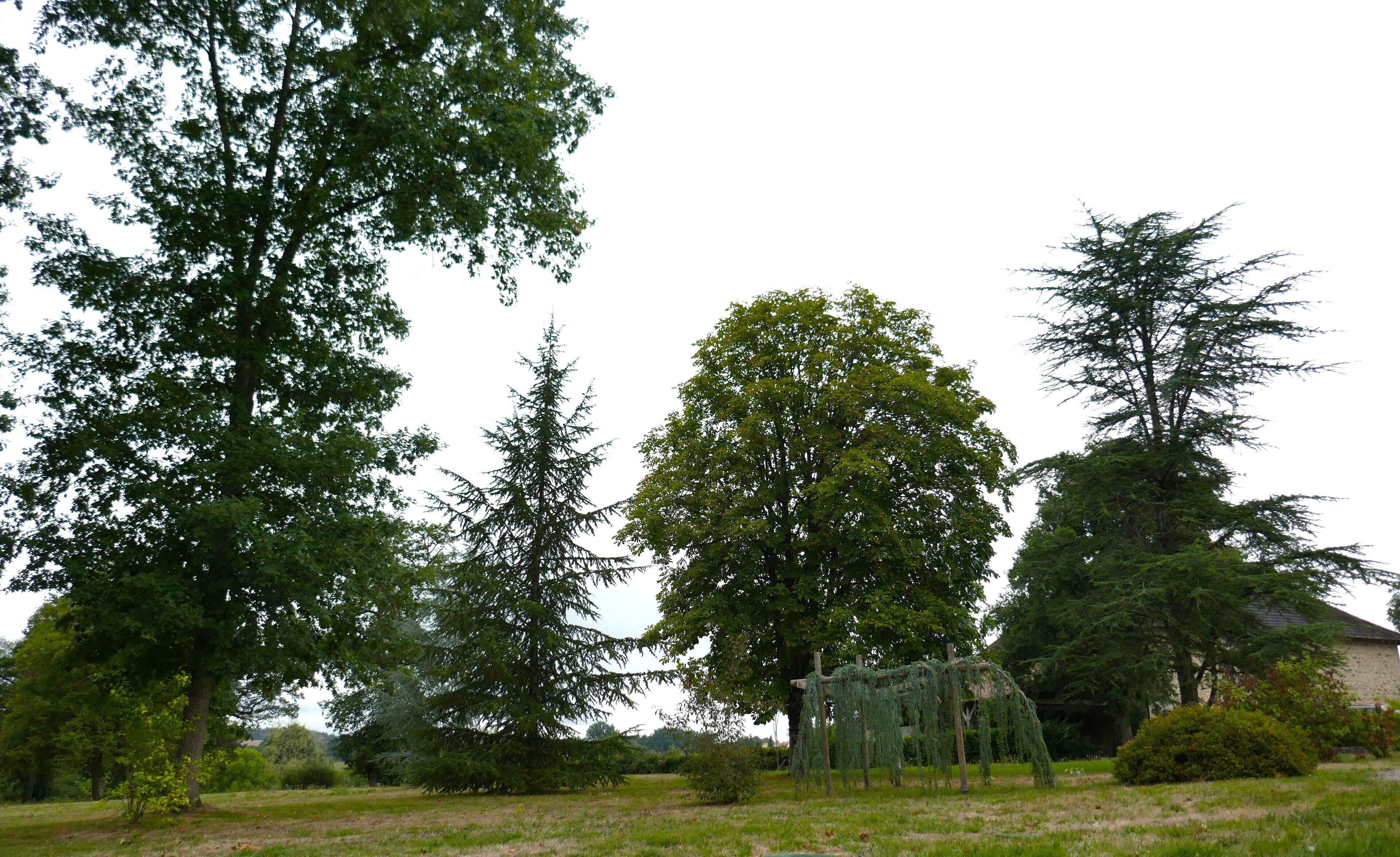A serene outdoor area with various trees and a small structure.