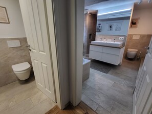 Hair dryer, towels, soap, toilet paper