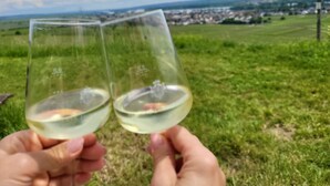Two hands holding wine glasses with a view of a town in the background. - Pension Kostera, 1st Floor | 7 single beds & parking (Babenhausen)