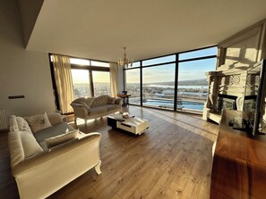 Smart TV, fireplace, books