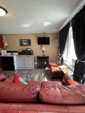 Fireplace, DVD player, video library