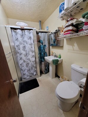 Hair dryer, towels, soap, toilet paper - Charming 4kingsize bed house in Benson with AC,WIFI,CableTV,Firepit,Washer/Dryer (benson)