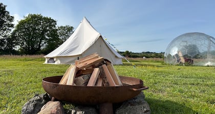 Cozy Dog Friendly Hot Tent With Log Burner & Logs