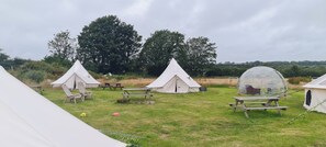 Outdoor dining - Cozy Dog Friendly Hot Tent With Log Burner & Logs (Gaerwen)
