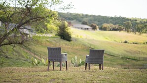 Two wicker chairs facing a rural landscape with a fence and cactus plants. - Country Living on 1 acre in Paso Robles w/ AC, BBQ, starry nights, Dogs welcome (Paso Robles)