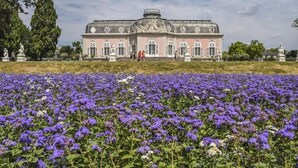 Un edificio grande de color rosa con una cúpula y ventanas arqueadas, rodeado por un campo de flores moradas.