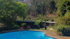 Una piscina envoltada de vegetació abundant i arbres alts.