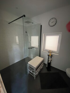 Douche, sèche-cheveux, serviettes fournies, papier toilette
