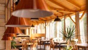 Un interior de madera con mesas, sillas, lámparas colgantes y plantas en macetas.