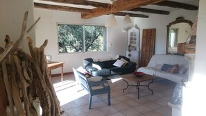 Televisión, chimenea, reproductor de DVD y libros 