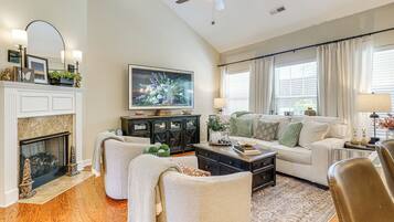 TV, fireplace, books