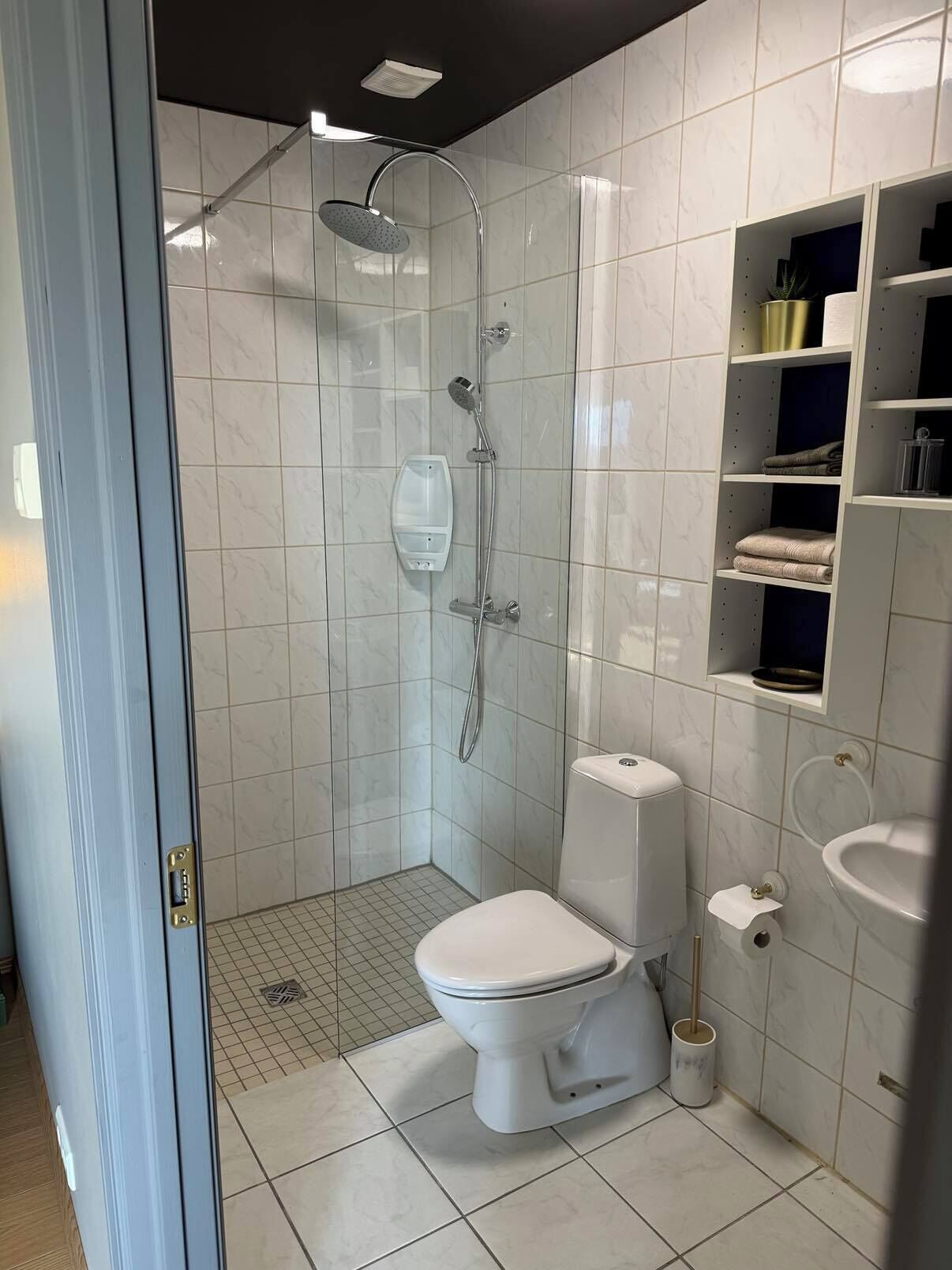 Une salle de bain moderne avec une douche à parois de verre, des toilettes, un lavabo et une étagère contenant des articles de toilette.