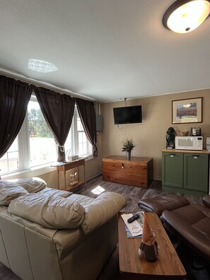 TV, fireplace, DVD player, video library