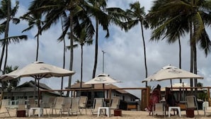 Una playa con palmeras, sillas de playa y sombrillas.