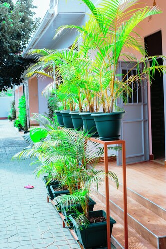 Experience Comfort and Nature at Rau Forest Villa, Moshi