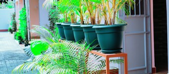 Experience Comfort and Nature at Rau Forest Villa, Moshi