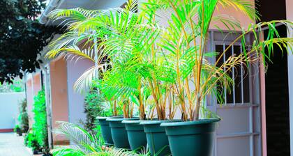 Experience Comfort and Nature at Rau Forest Villa, Moshi