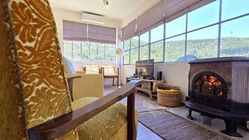 TV, fireplace