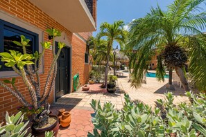 Un patio con piscina, palmeras y plantas en macetas.