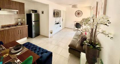 COMFORTABLE APARTMENT "COLIBRI" IN QUERETARO, MEXICO. PLACE OF VINEYARDS !