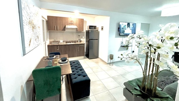 Interior - COMFORTABLE APARTMENT "COLIBRI" IN QUERETARO, MEXICO. PLACE OF VINEYARDS ! (La Pradera)