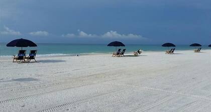 Gulf Winds East #51
