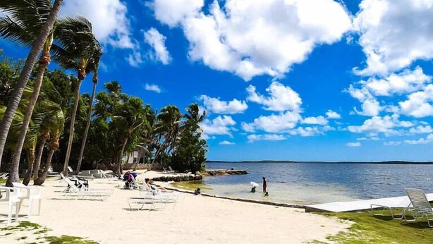 Una playa con palmeras, cielo azul despejado y mar tranquilo.