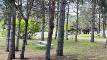 A park with tall trees, a picnic table, and a hammock.