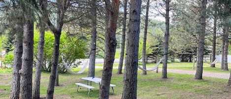 Un parque con árboles altos, una mesa de picnic y una hamaca.