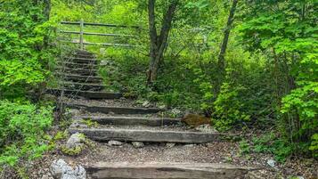 A wooden staircase leading up a hill, surrounded by dense green foliage.