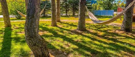 A hammock between trees in a grassy area with a clear blue sky.