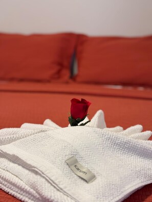 Habitación doble clásica | Espacio para trabajar con laptop y wifi gratis 